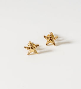 Mini starfish earrings